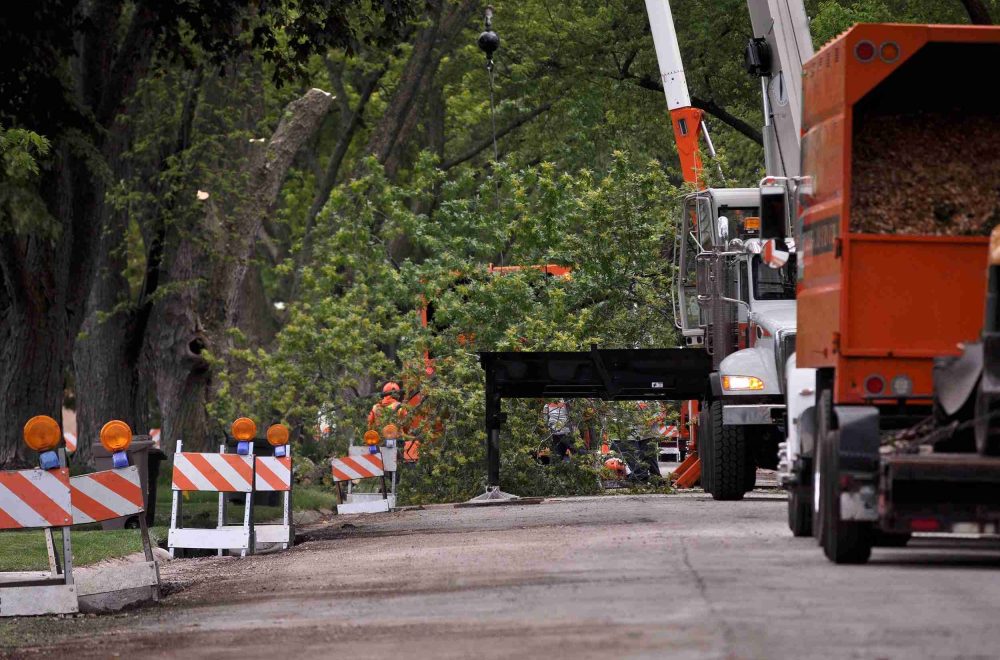 Emergency Tree Removal Services | Disaster Recovery